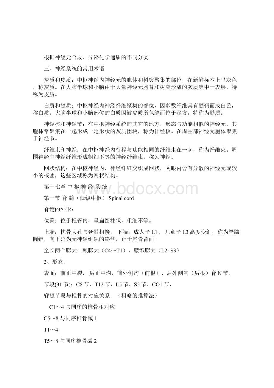 神经系统解剖学要点.docx_第2页