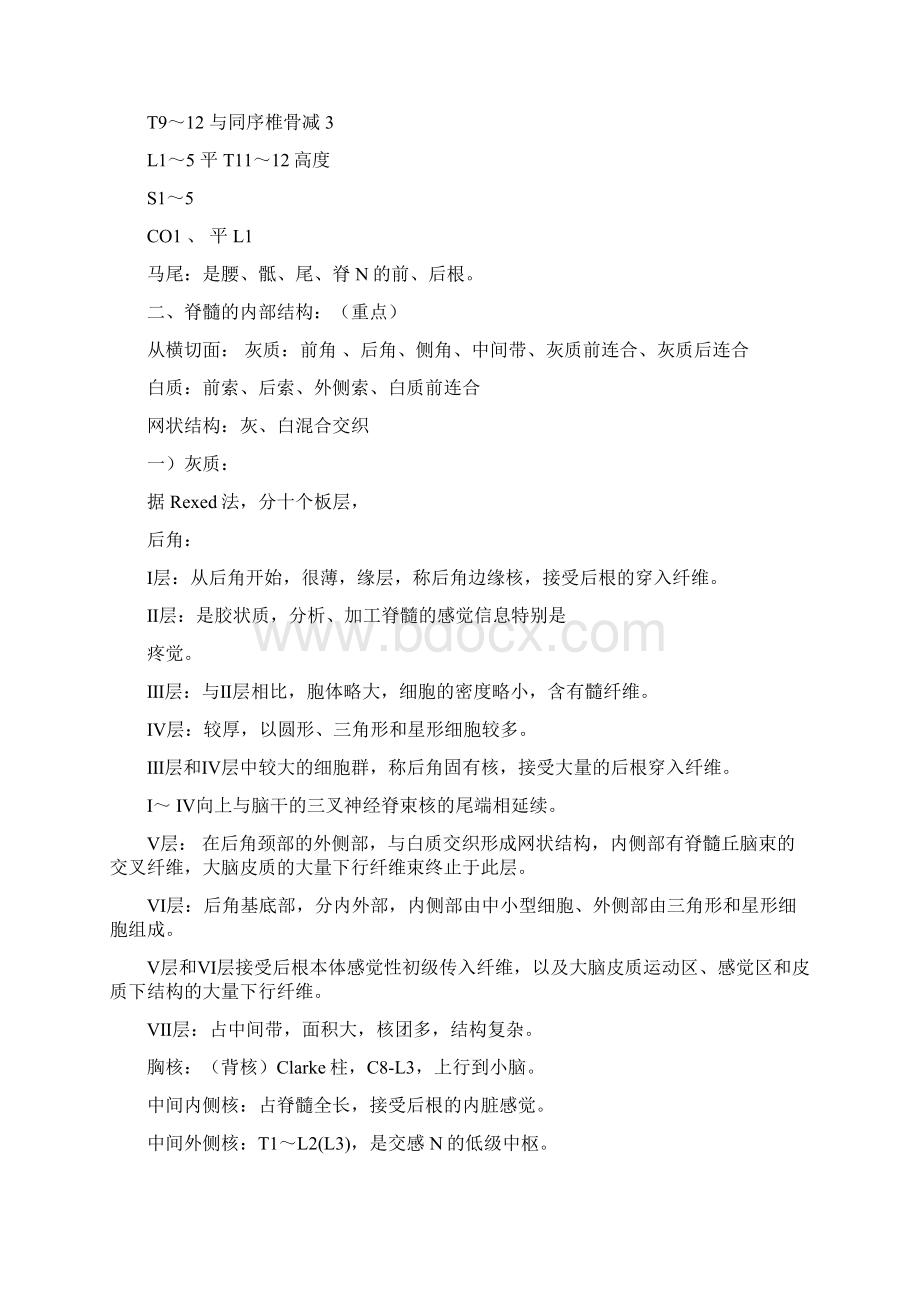 神经系统解剖学要点.docx_第3页