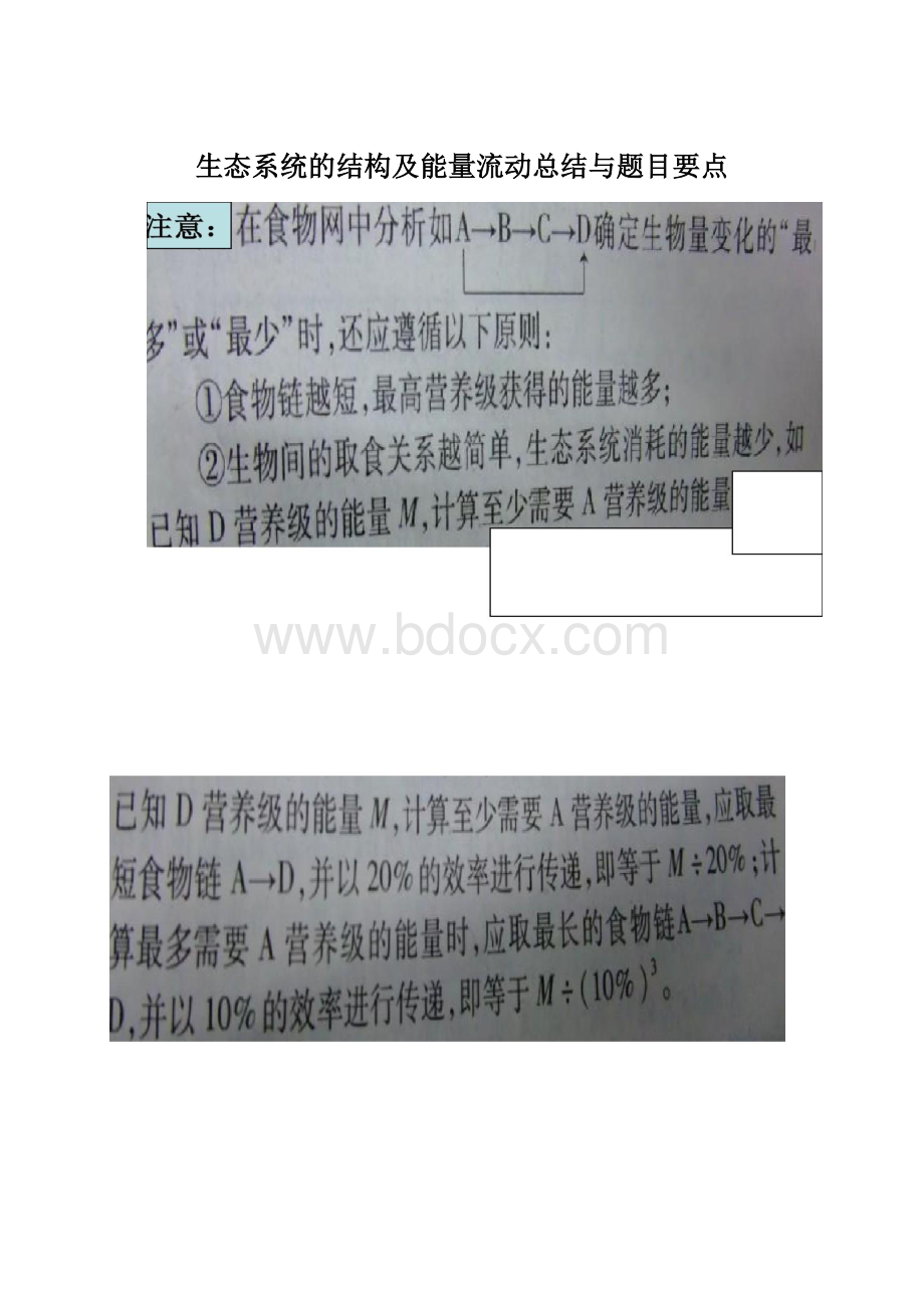 生态系统的结构及能量流动总结与题目要点.docx