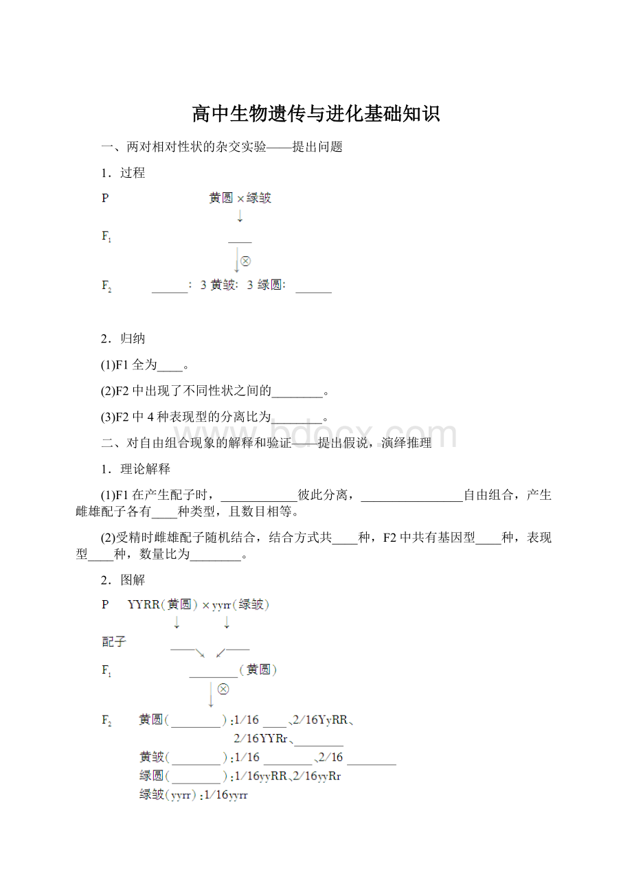 高中生物遗传与进化基础知识.docx_第1页