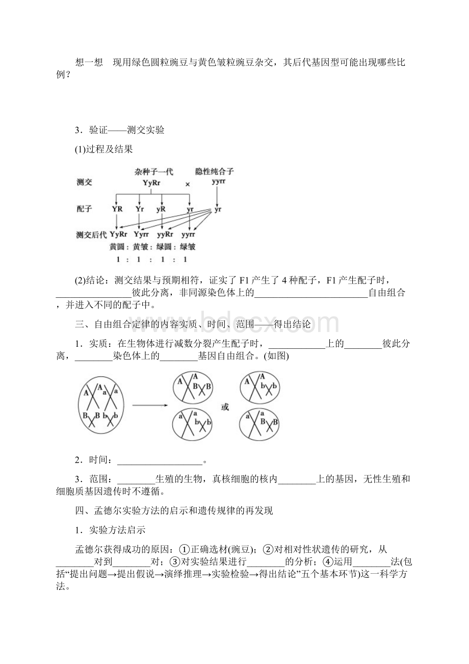 高中生物遗传与进化基础知识Word文件下载.docx_第2页