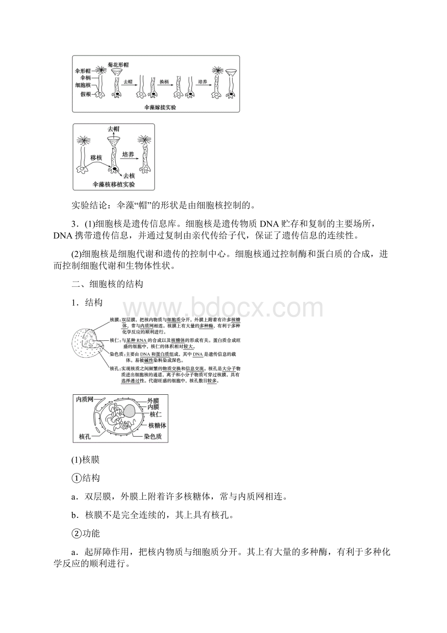 新教材高中生物人教版必修1学案33 细胞核的结构和功能.docx_第2页