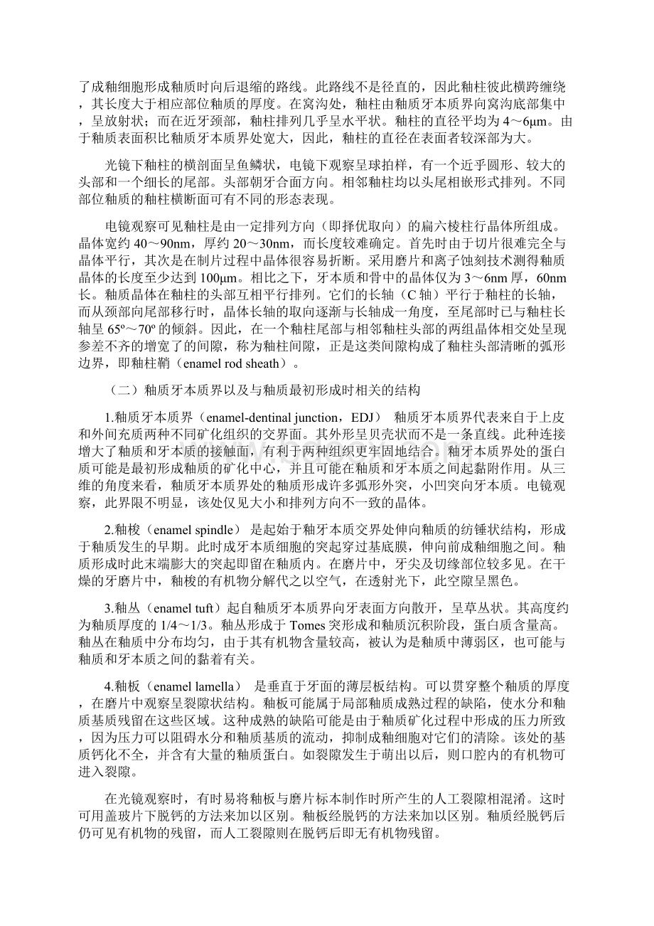 牙齿Word下载.docx_第3页