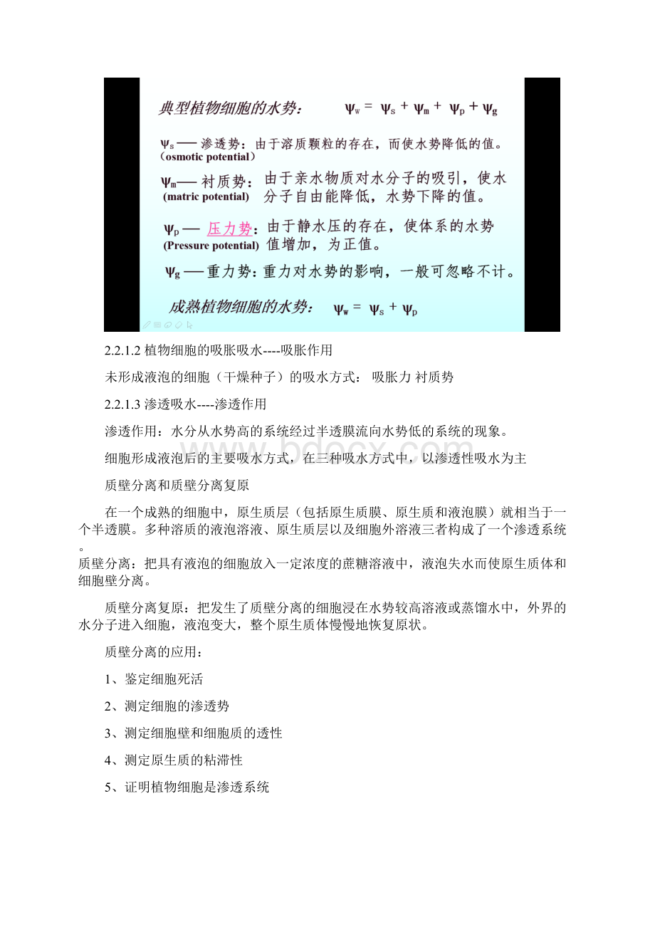 第二章 植物的水分代谢Word文档格式.docx_第3页