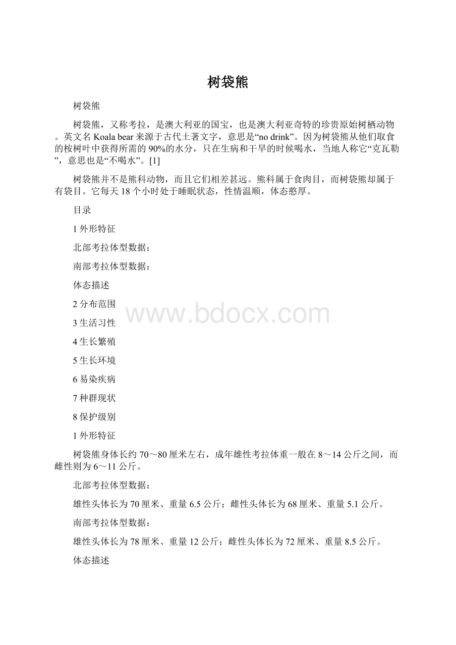 树袋熊Word文档格式.docx_第1页