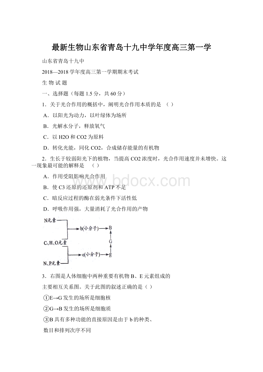 最新生物山东省青岛十九中学年度高三第一学.docx