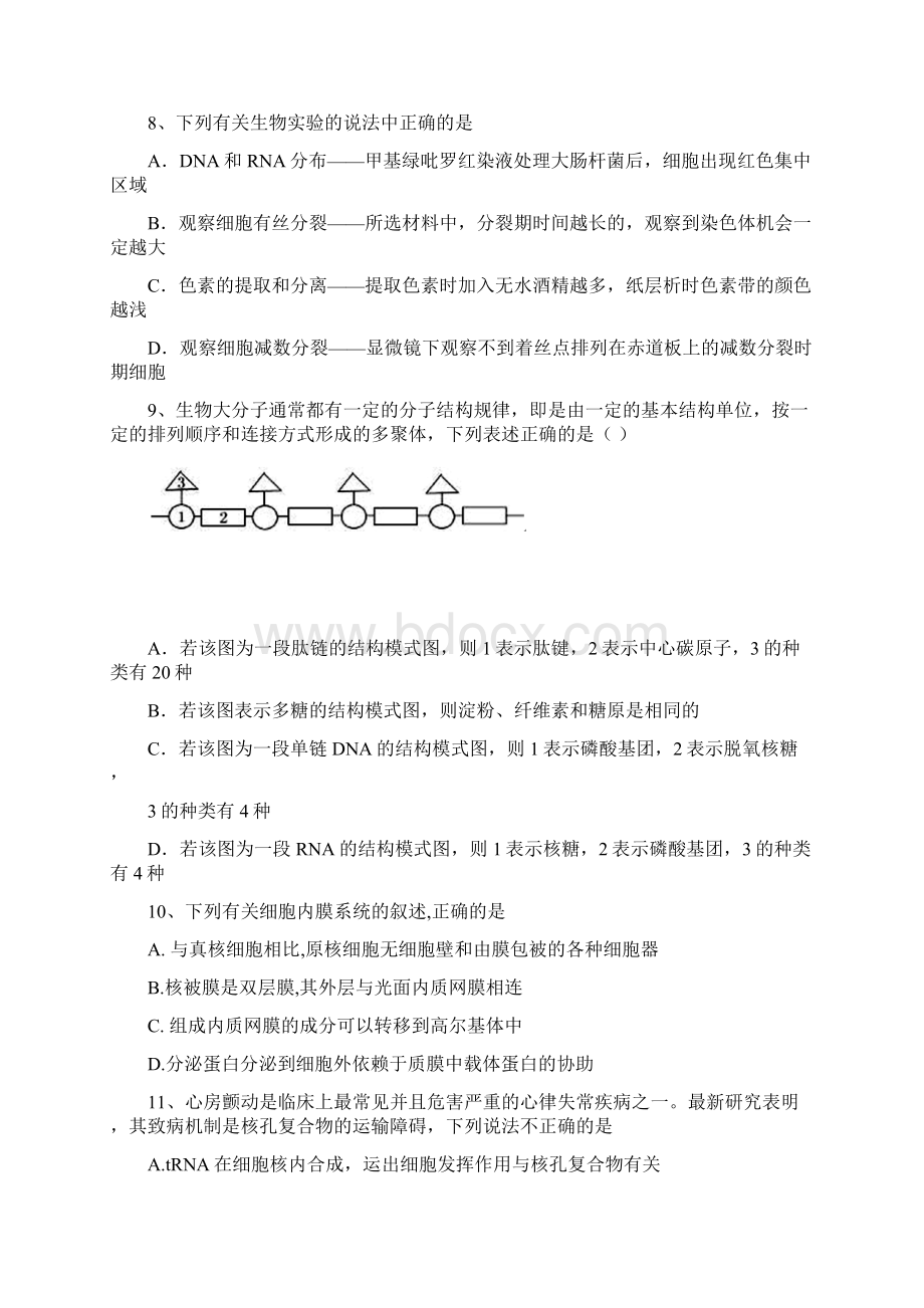 届河北省武邑中学高三上学期开学考试生物试题Word格式.docx_第3页