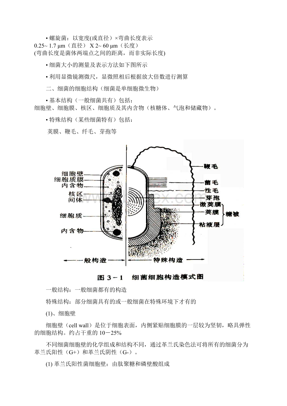 原核微生物.docx_第2页