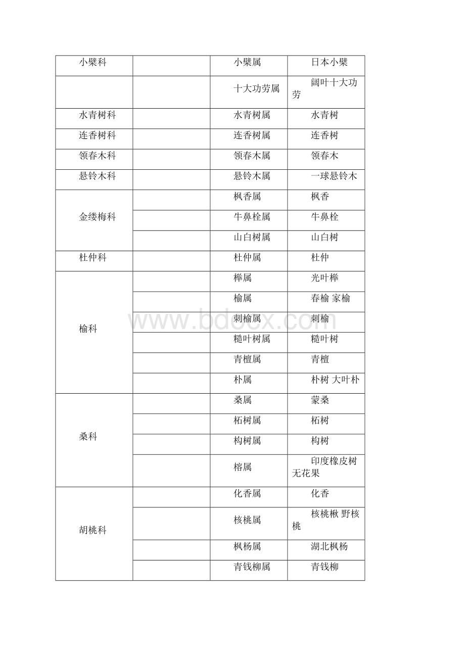 常见植物科属经典模板.docx_第3页