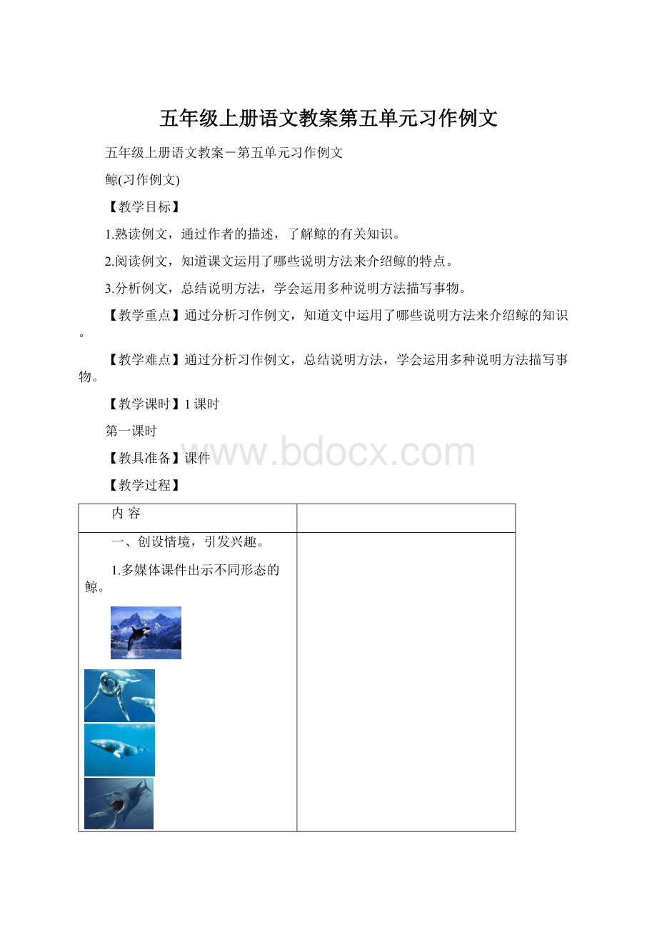 五年级上册语文教案第五单元习作例文Word文档格式.docx