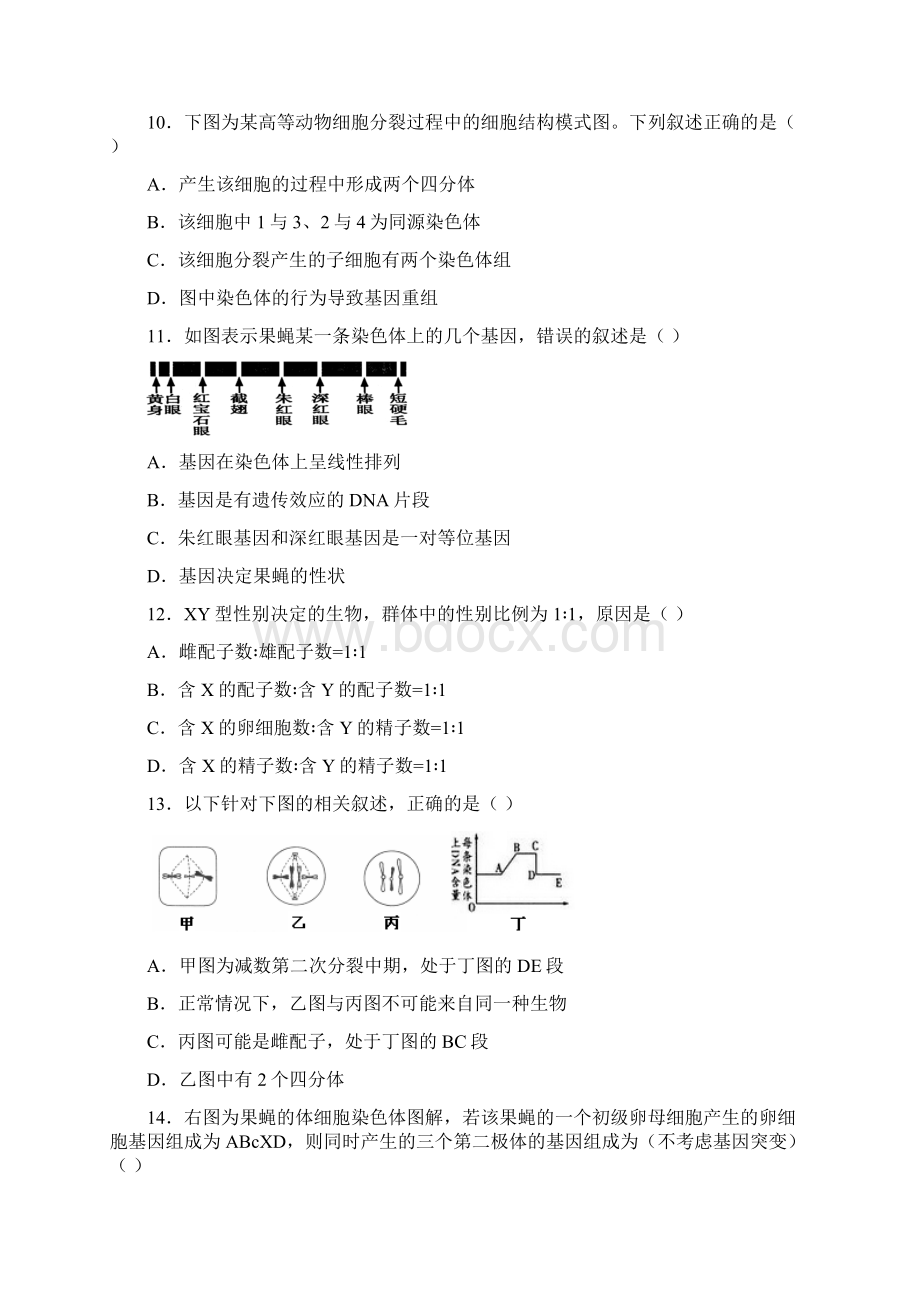 湖南省学年高一 生物下学期期中试题.docx_第3页