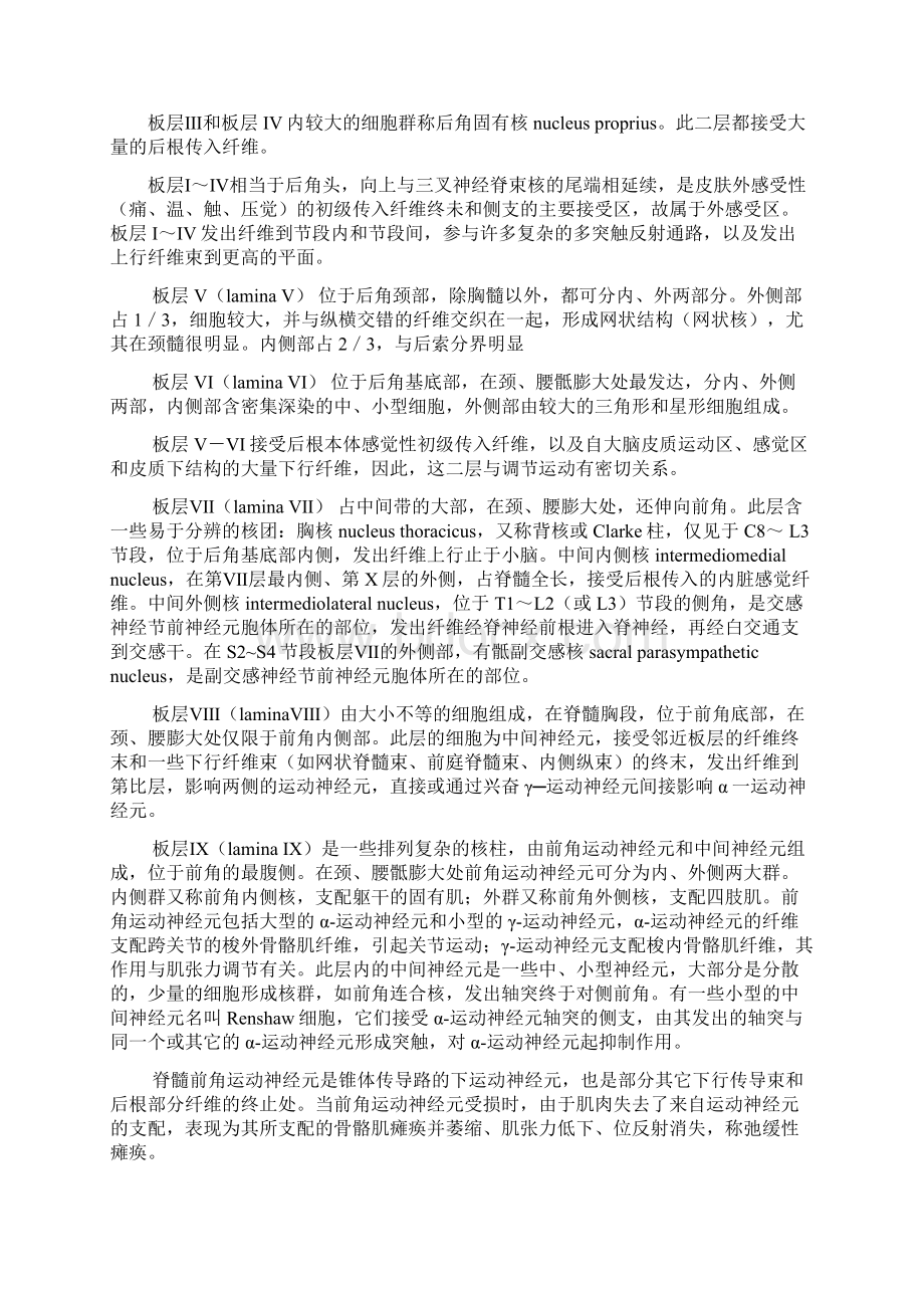 新世纪教材系统解剖学.docx_第3页