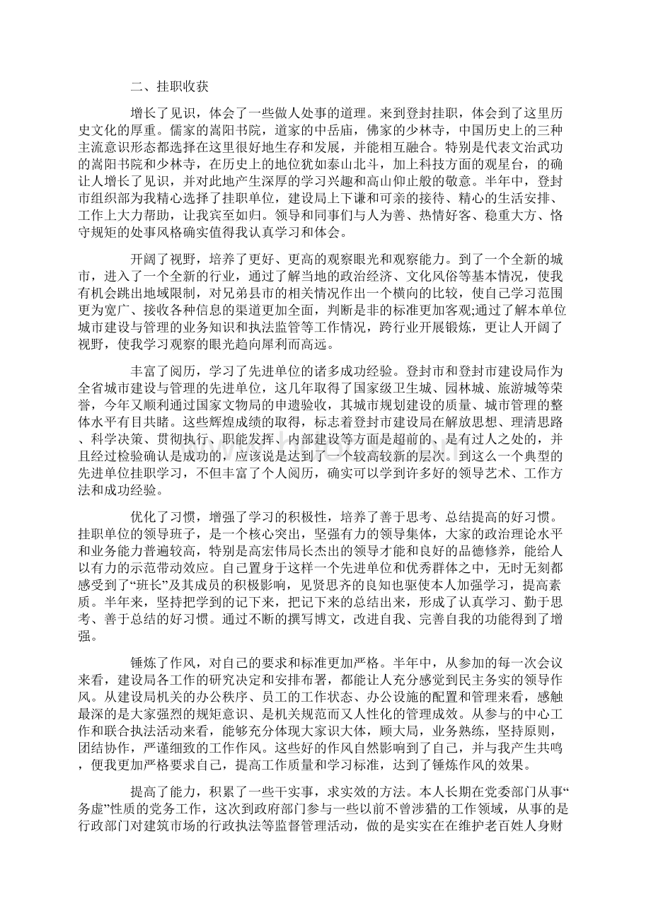 挂职锻炼年终工作总结精选.docx_第2页