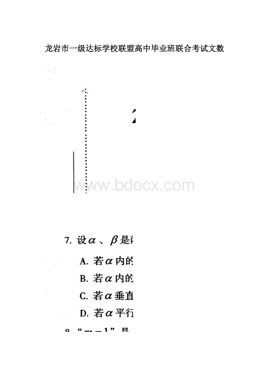 龙岩市一级达标学校联盟高中毕业班联合考试文数Word下载.docx