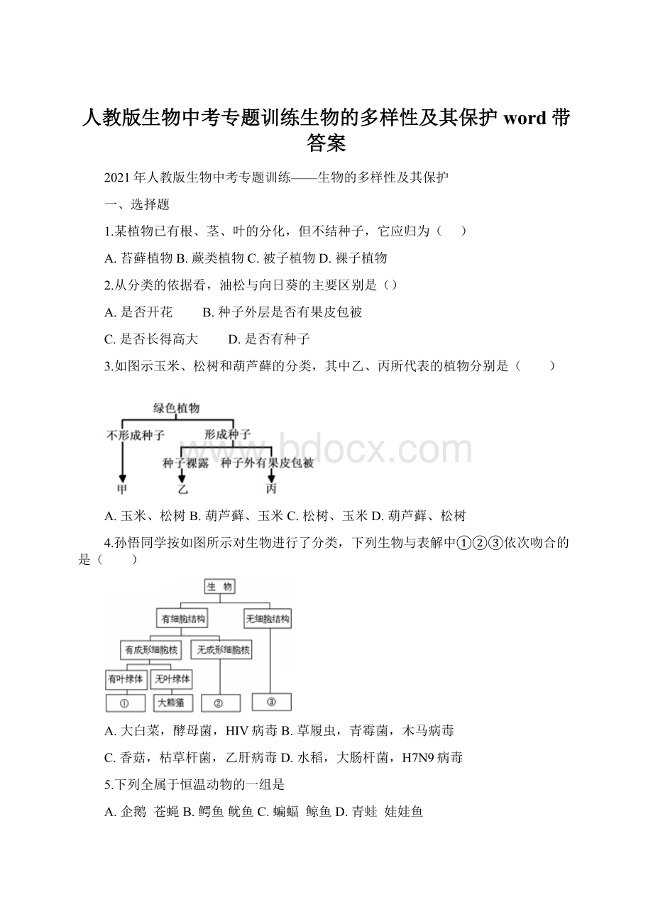 人教版生物中考专题训练生物的多样性及其保护 word带答案.docx