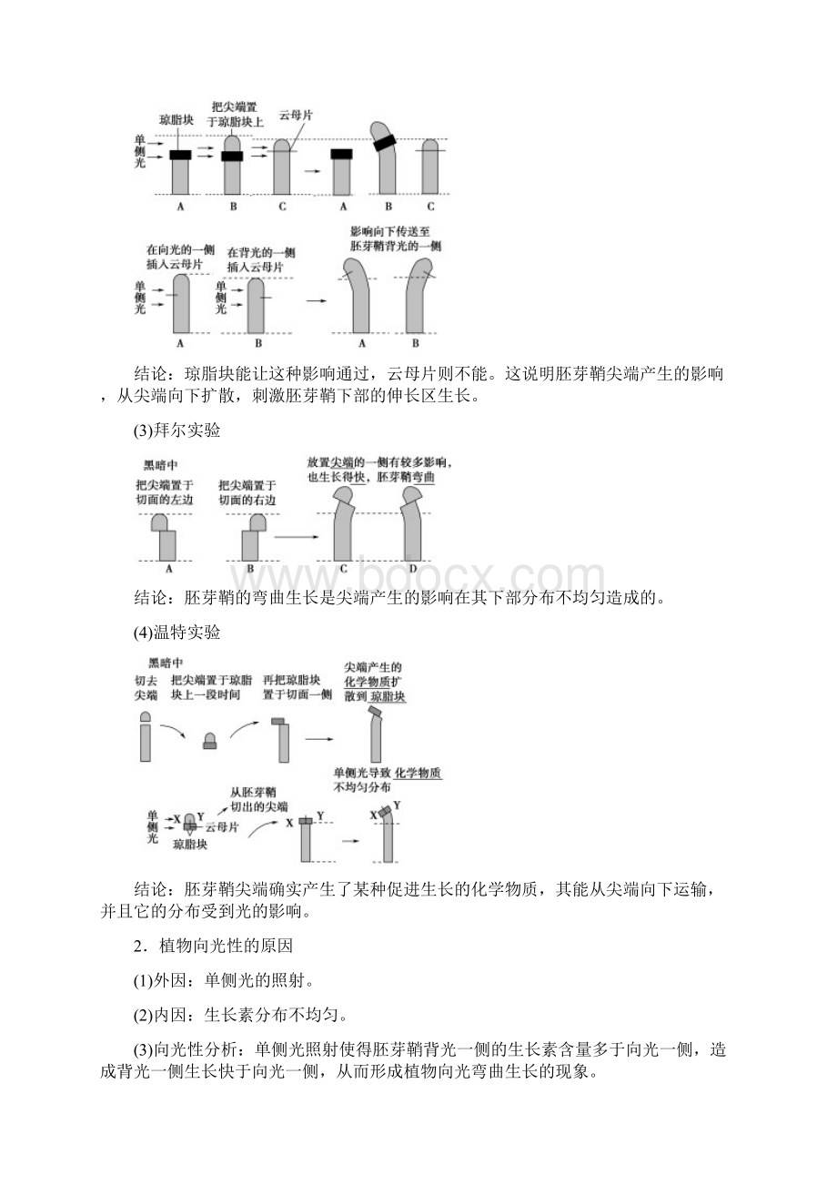 高考一轮苏教版生物 必修3 第8单元 第6讲 植物激素的调节Word下载.docx_第2页