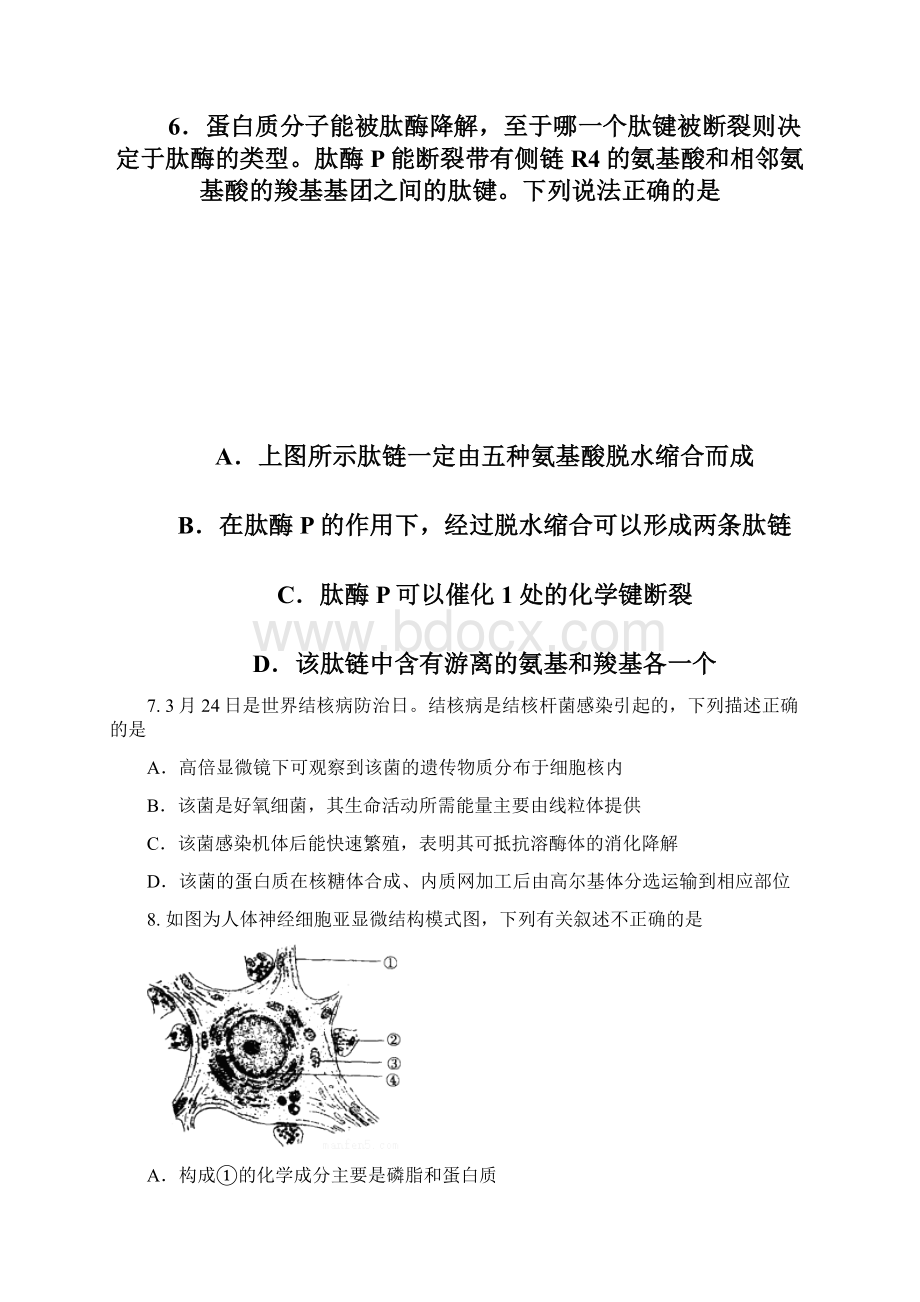 学年吉林省白城市通榆县第一中学高二月考生物试题Word版含答案.docx_第3页