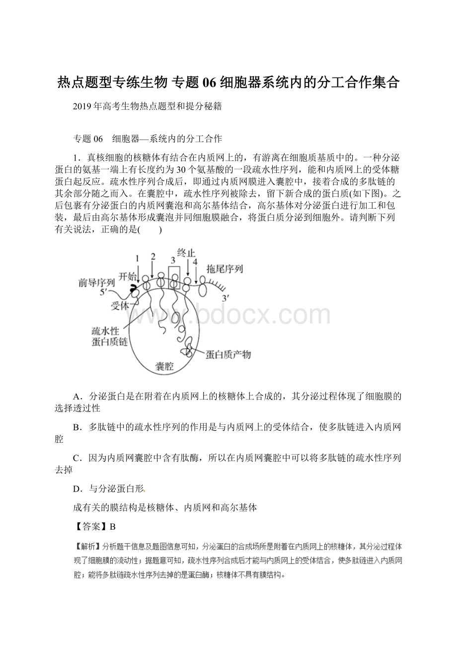 热点题型专练生物 专题06 细胞器系统内的分工合作集合.docx