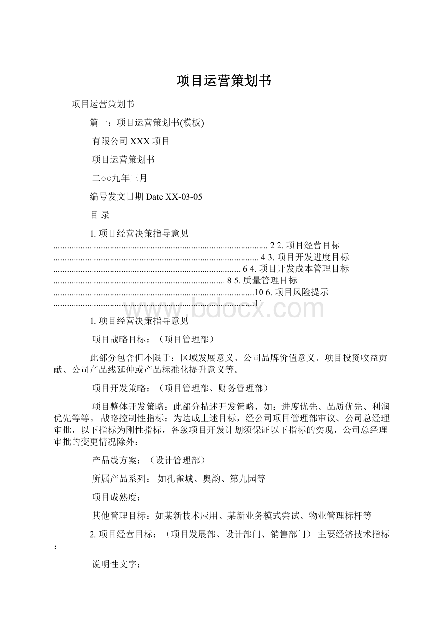 项目运营策划书Word文档格式.docx