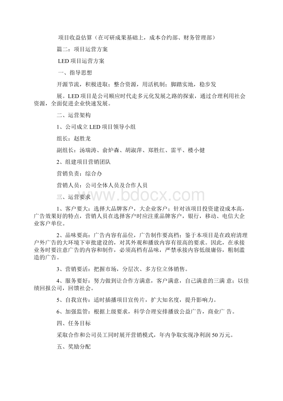 项目运营策划书.docx_第2页