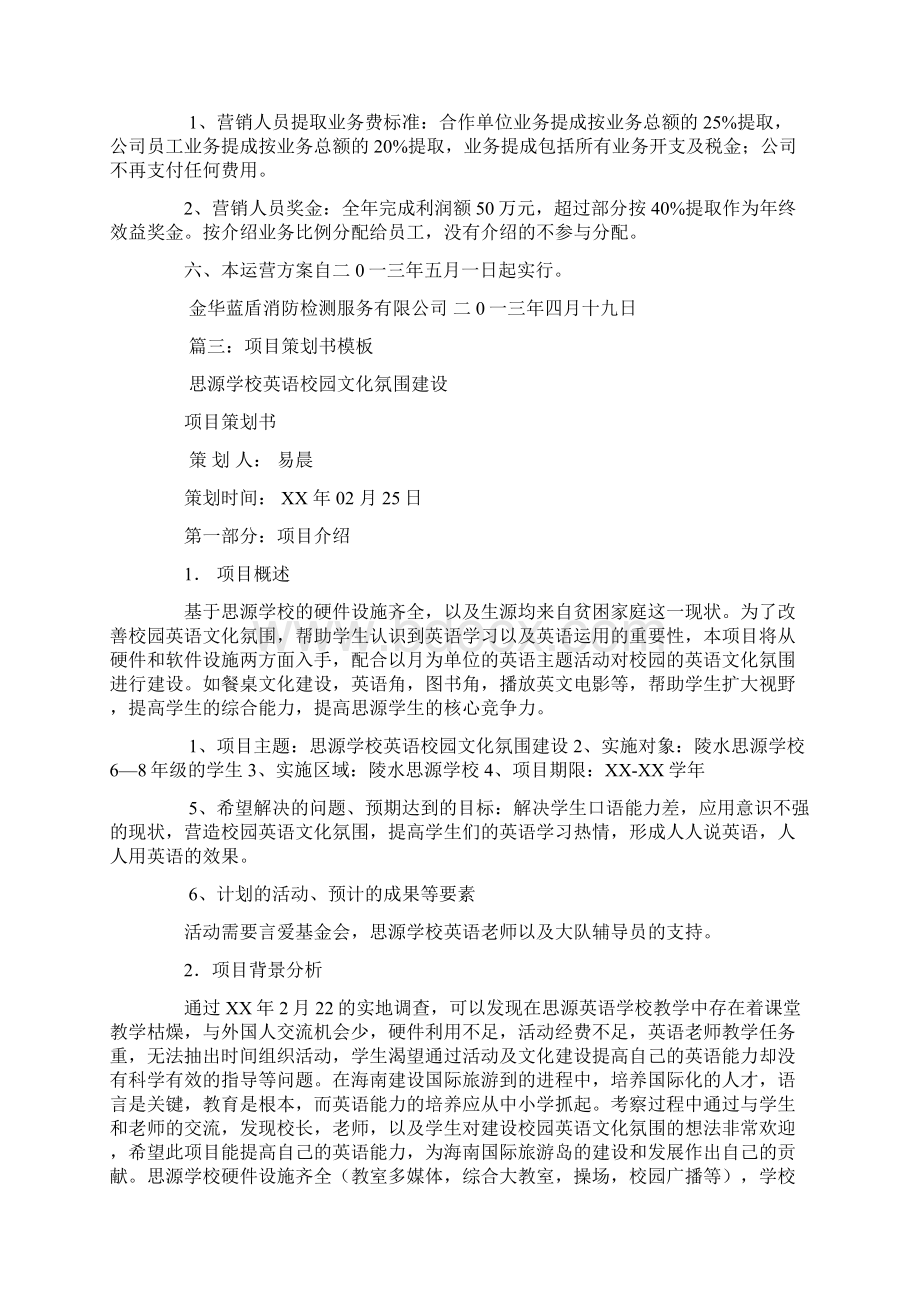 项目运营策划书.docx_第3页