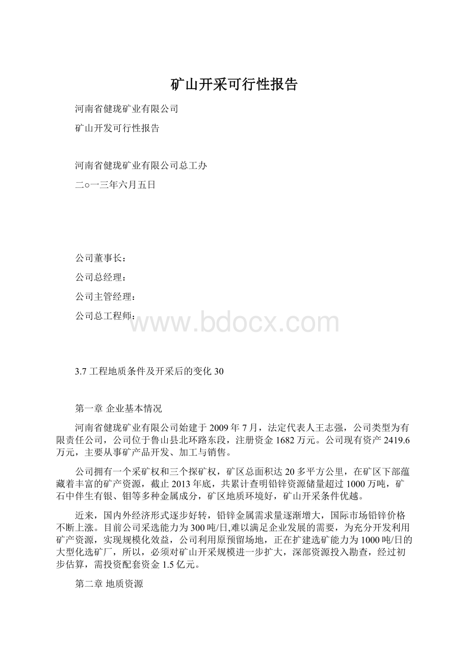 矿山开采可行性报告Word文档下载推荐.docx