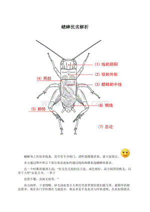 蟋蟀优劣解析.docx