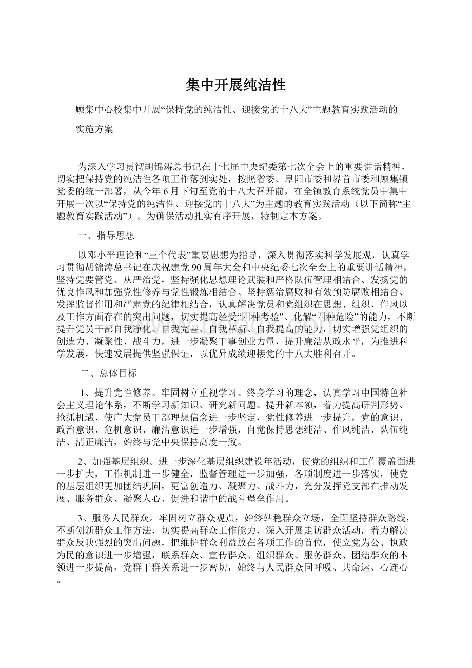 集中开展纯洁性Word文件下载.docx