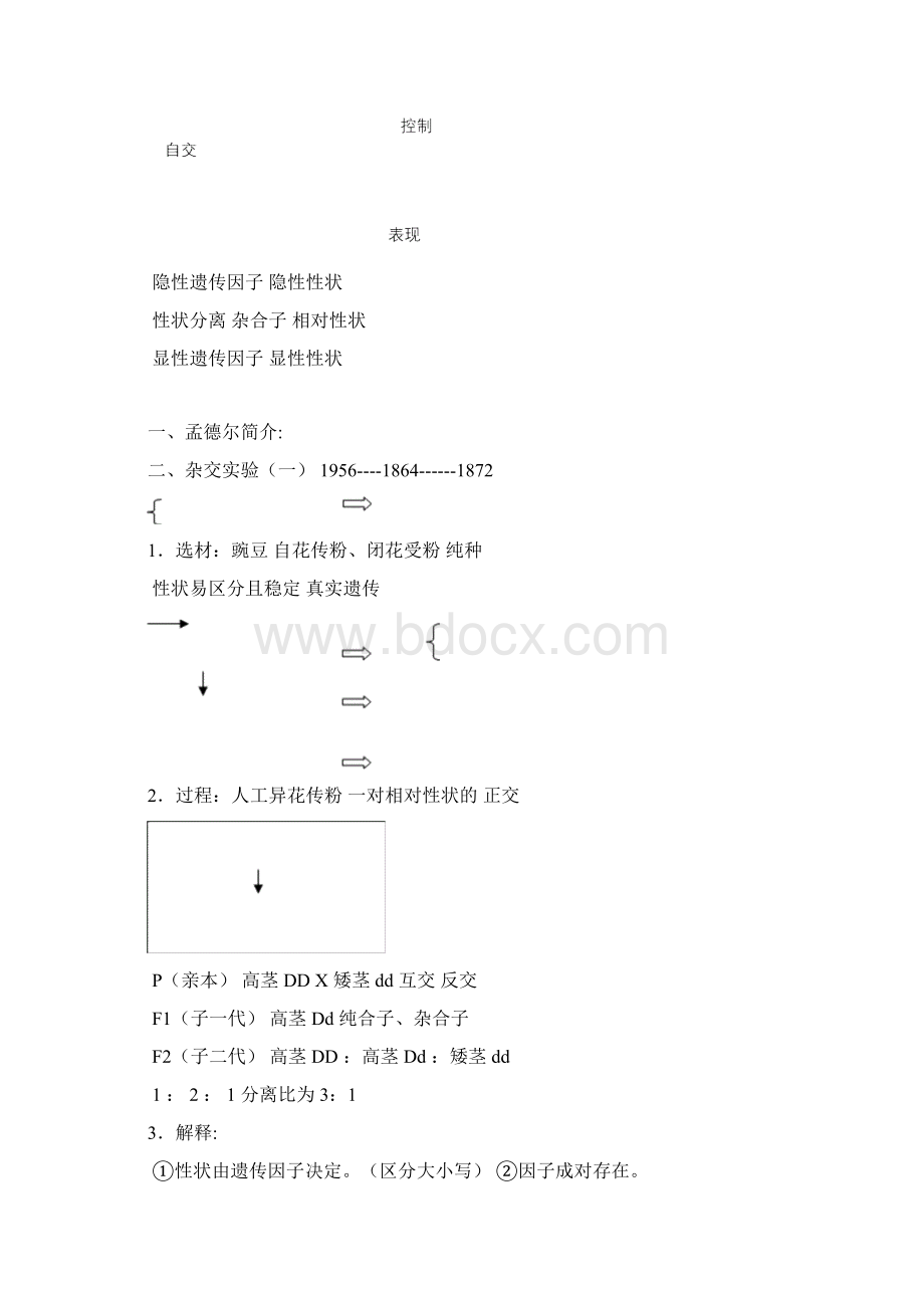 高中生物必修二全套知识重点结构图.docx_第2页