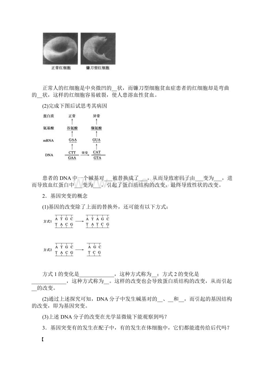 第五章基因突变和基因重组.docx_第2页