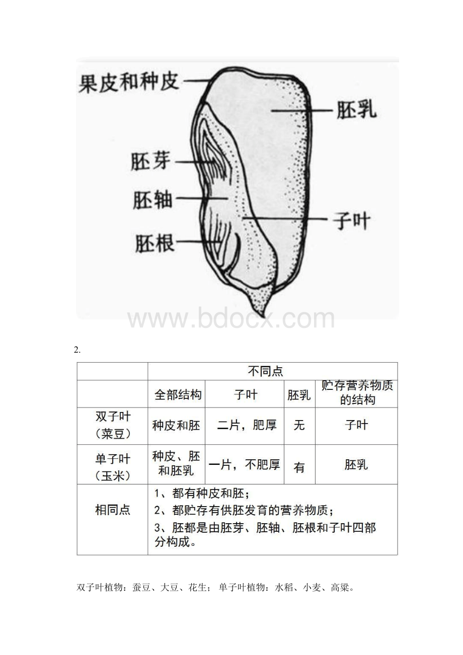 冀少版八年级生物上册复习提纲.docx_第2页