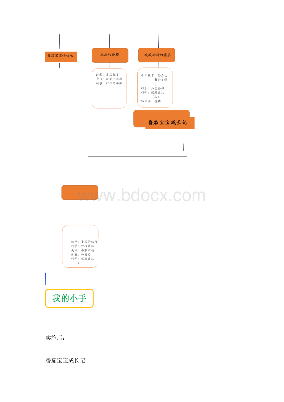 中班班本课程番茄宝宝成长记Word格式文档下载.docx_第2页