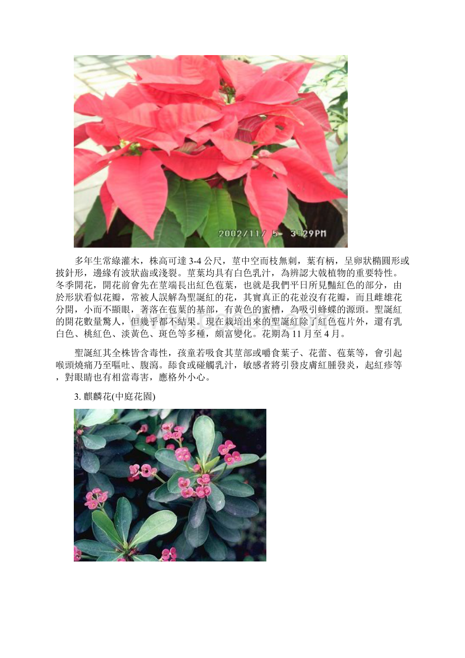 二上补充教材春天开花的校园植物二林国小.docx_第2页