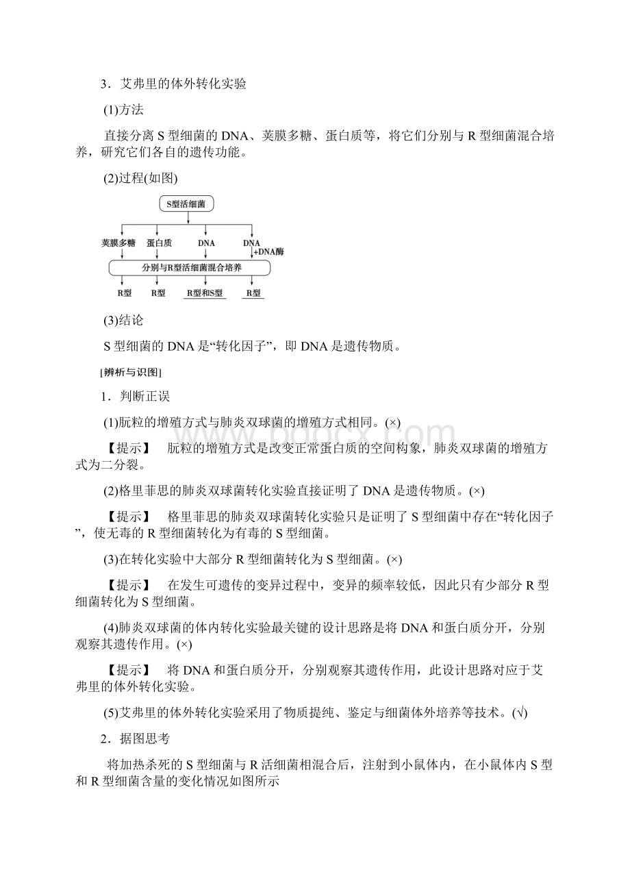 人教版生物高考一轮复习必修2 第6单元 第1讲 DNA是主要的遗传物质.docx_第2页