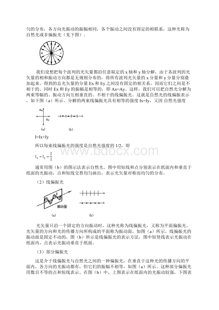 偏振光现象的研究Word文件下载.docx_第2页