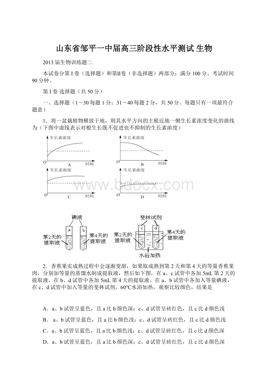 山东省邹平一中届高三阶段性水平测试 生物Word文档格式.docx