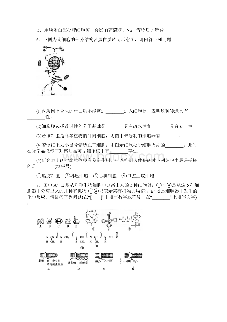 届高考生物黄金易错点专题02 细胞的基本结构和物质出入细胞的方式原卷版Word下载.docx_第3页