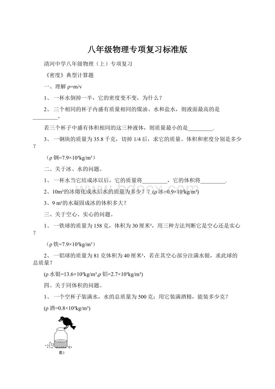 八年级物理专项复习标准版.docx_第1页