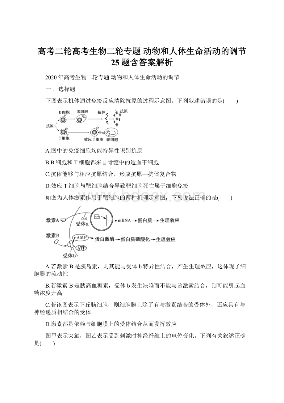 高考二轮高考生物二轮专题 动物和人体生命活动的调节 25题含答案解析文档格式.docx_第1页