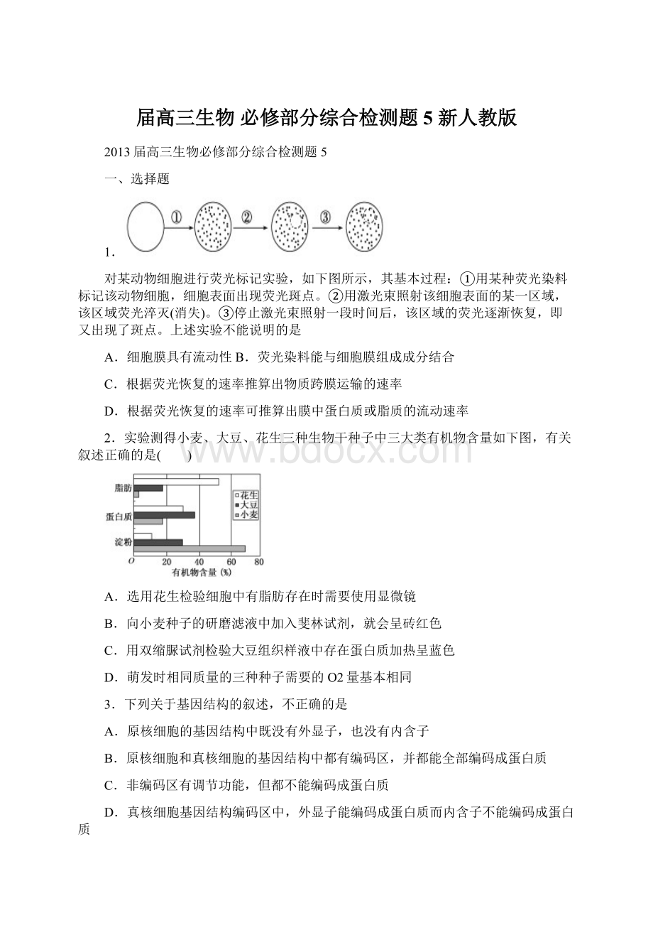 届高三生物 必修部分综合检测题5 新人教版.docx