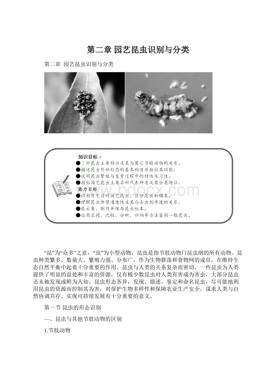 第二章 园艺昆虫识别与分类Word下载.docx_第1页