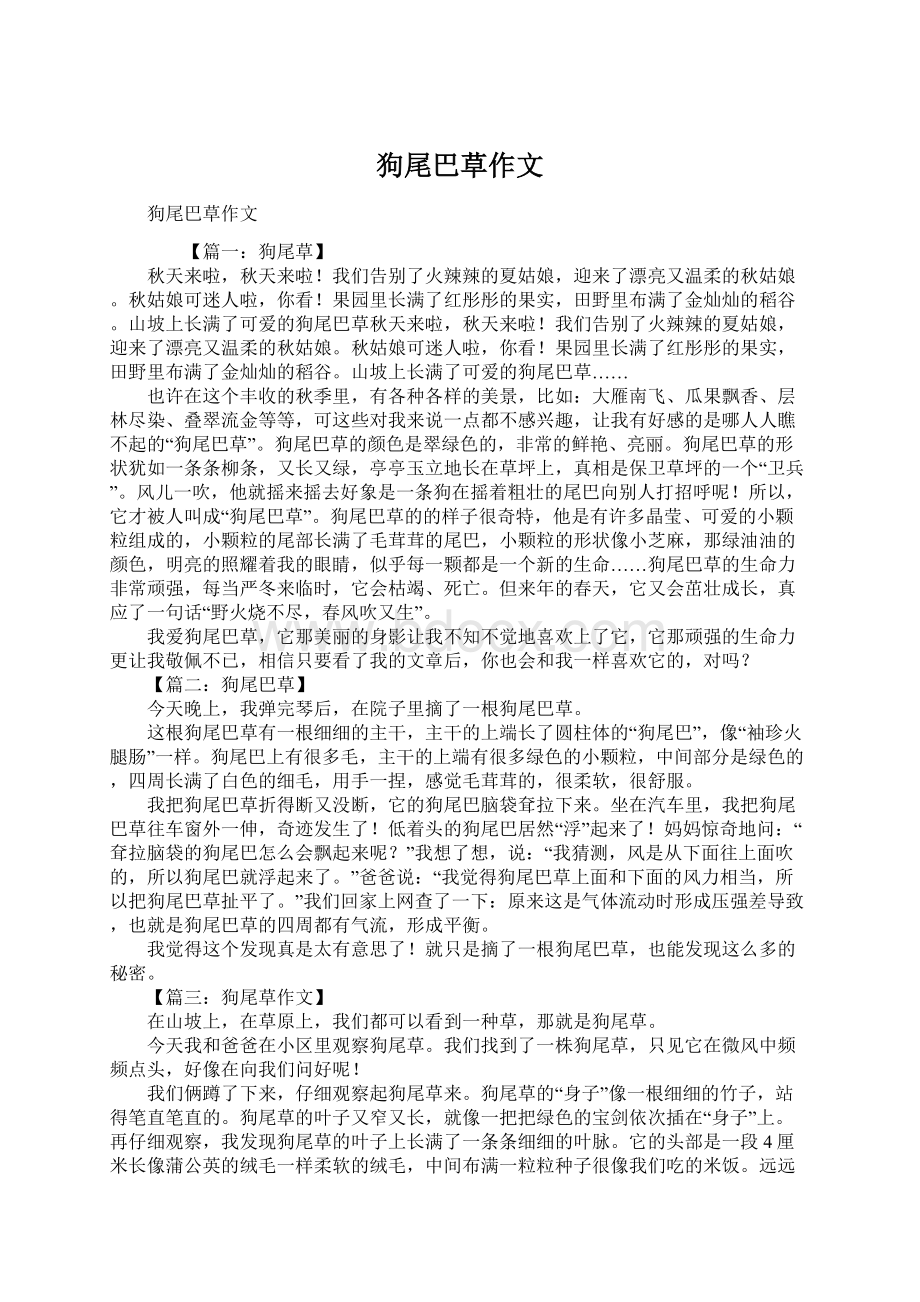 狗尾巴草作文文档格式.docx_第1页