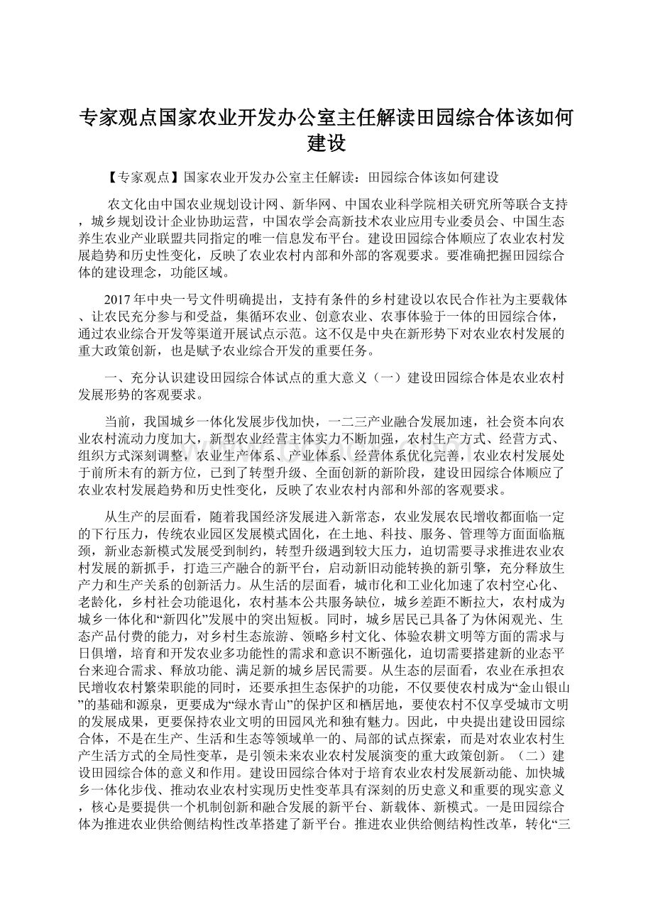 专家观点国家农业开发办公室主任解读田园综合体该如何建设文档格式.docx