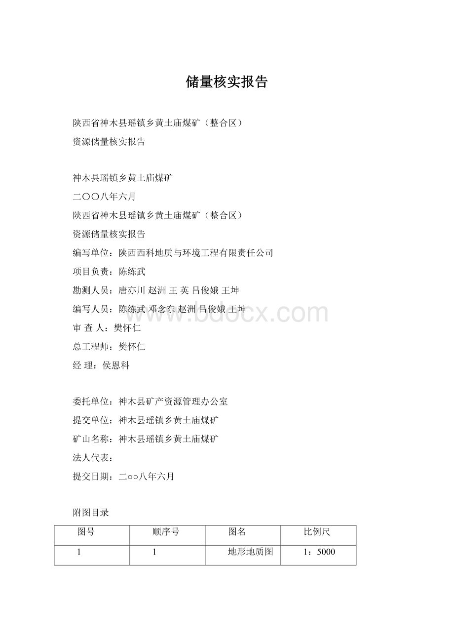 储量核实报告.docx_第1页