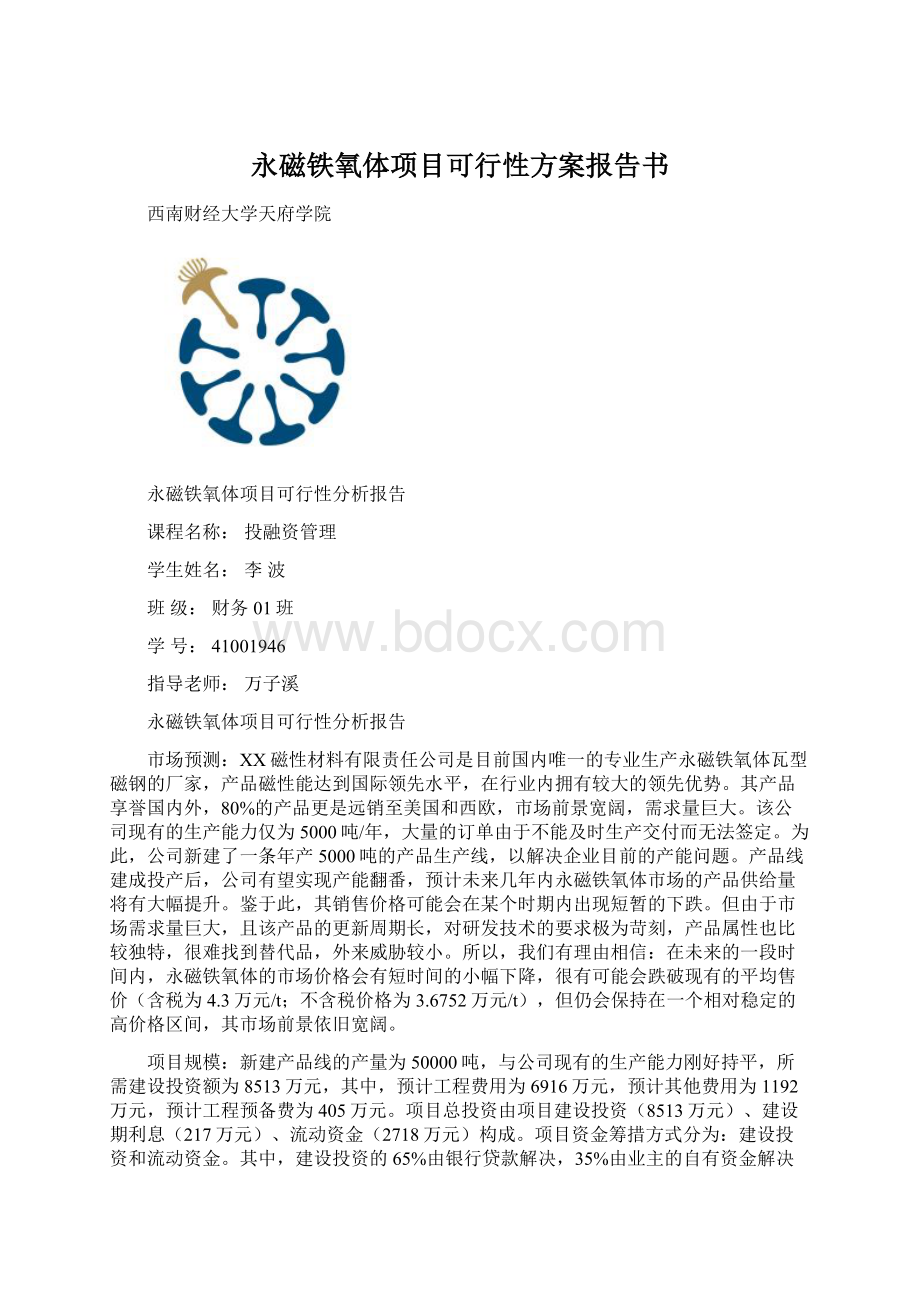 永磁铁氧体项目可行性方案报告书.docx_第1页