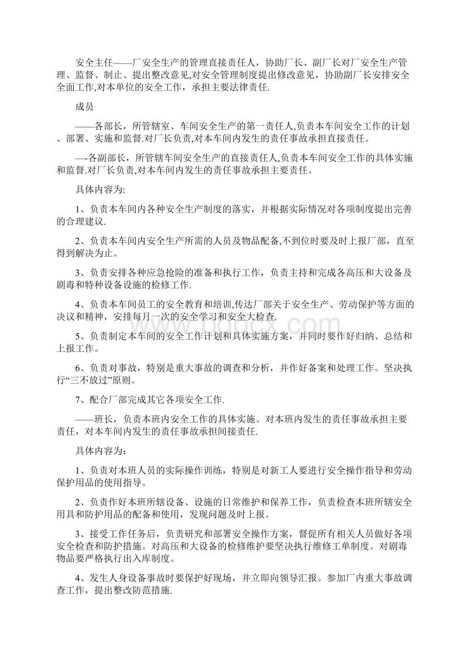 安全管理架构及职责文档格式.docx_第2页