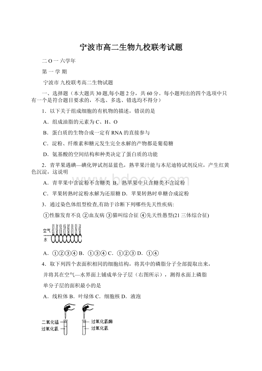 宁波市高二生物九校联考试题Word文档格式.docx