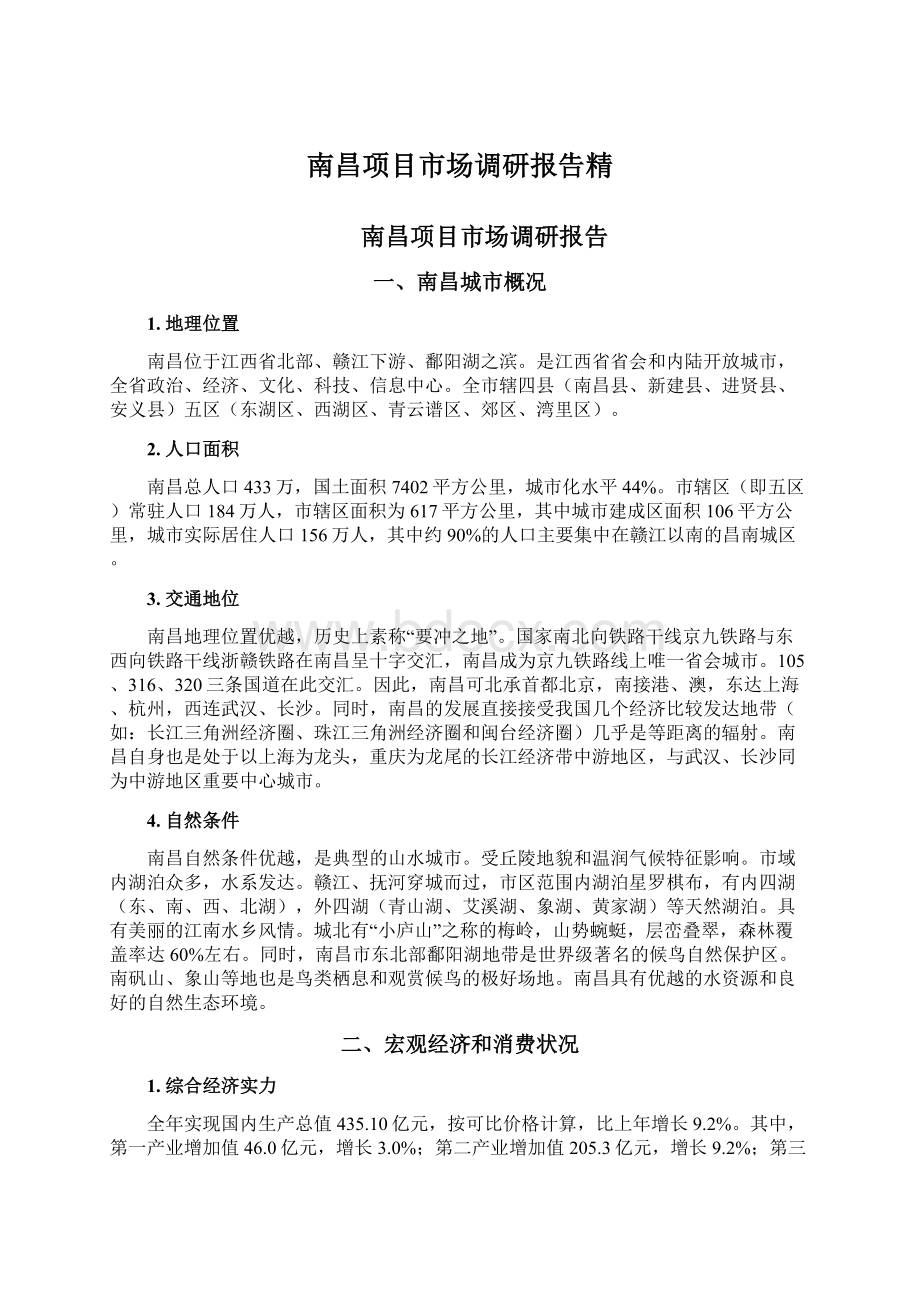 南昌项目市场调研报告精.docx_第1页