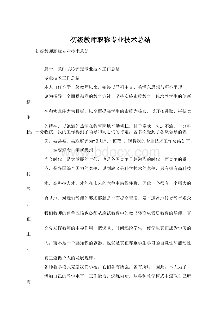 初级教师职称专业技术总结.docx