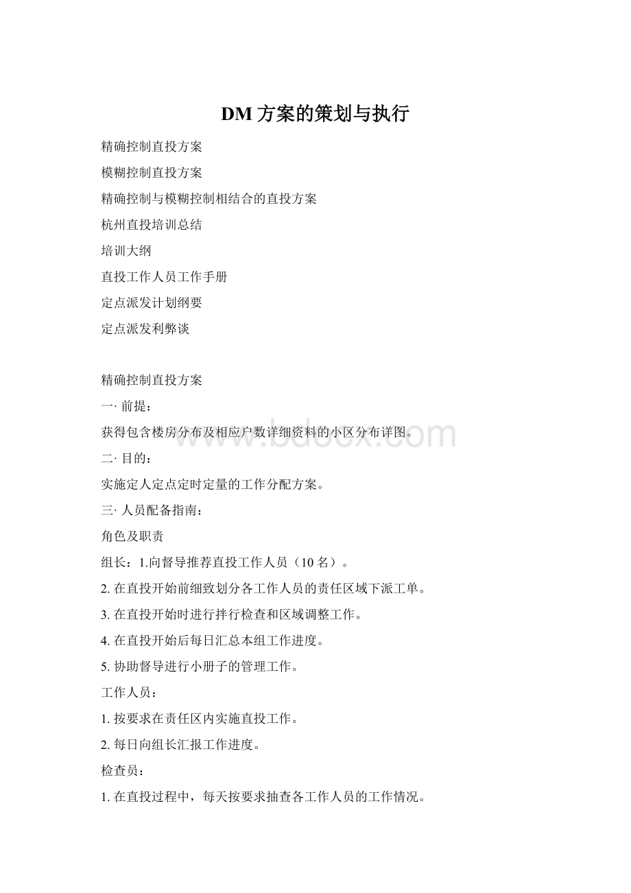 DM方案的策划与执行Word格式.docx
